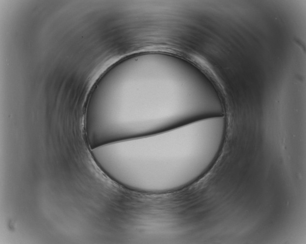 X0000101691284200807101159