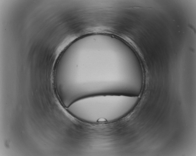 X0000101691285200807101159