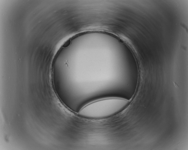 X0000101691288200807101159