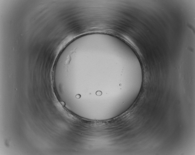 X0000101691291200807101159