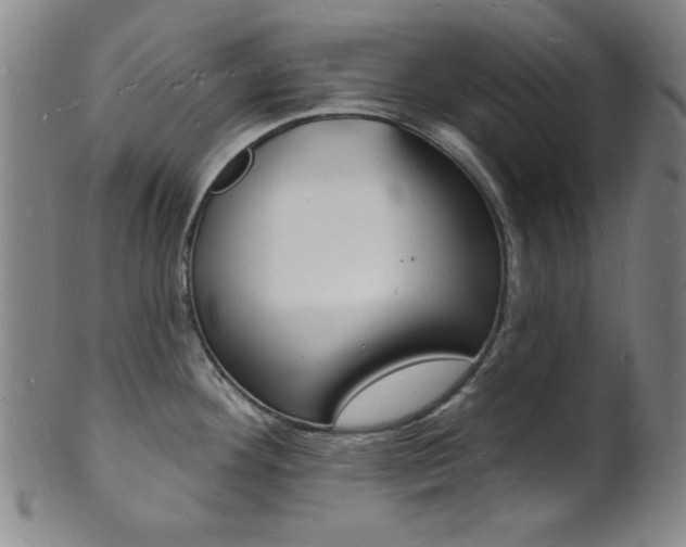 X0000101691292200807101159