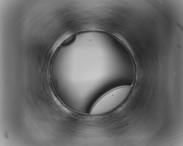 X0000101691293200807101159