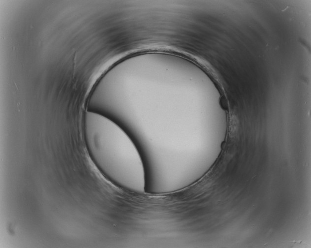 X0000101691295200807101159