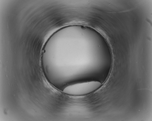 X0000101691296200807101159