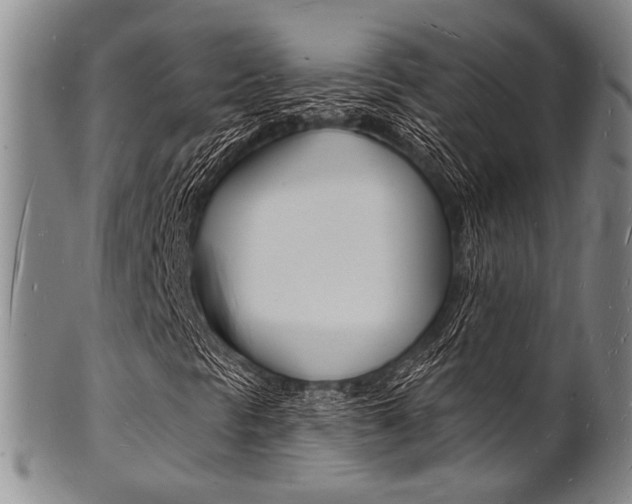 X0000101691297200807101158