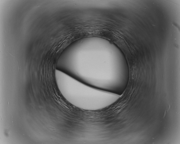 X0000101691298200807101158