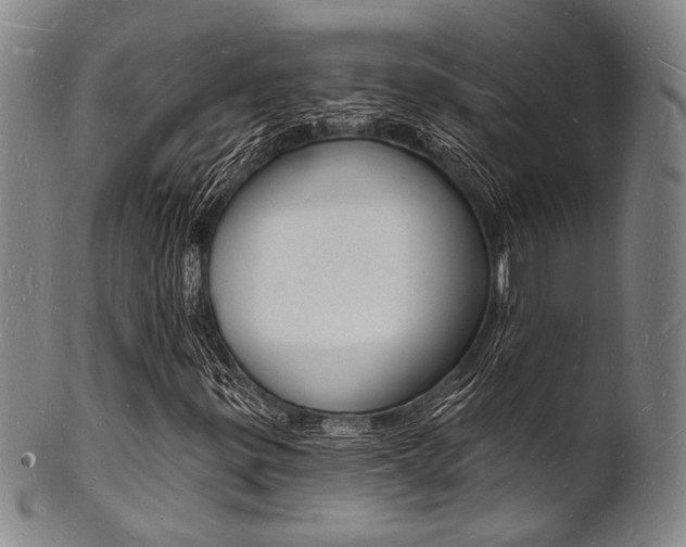 X0000101691299200807101158