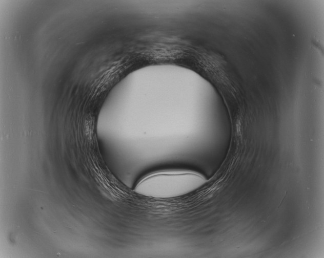 X0000101691300200807101158