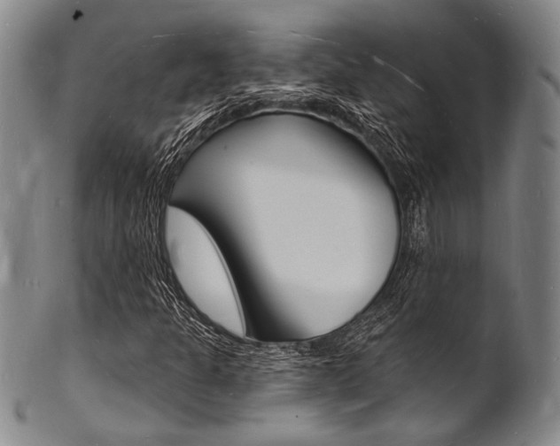 X0000101691301200807101158