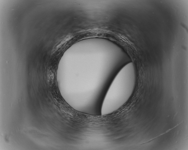 X0000101691302200807101158