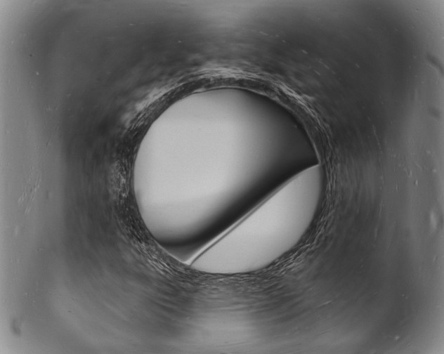 X0000101691303200807101158