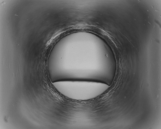 X0000101691304200807101158