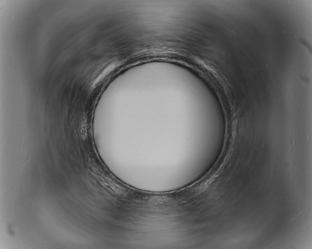 X0000101691306200807101158