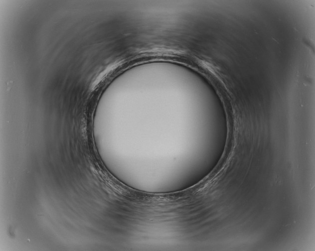 X0000101691307200807101158