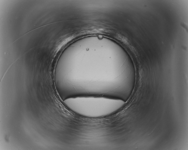 X0000101691308200807101158