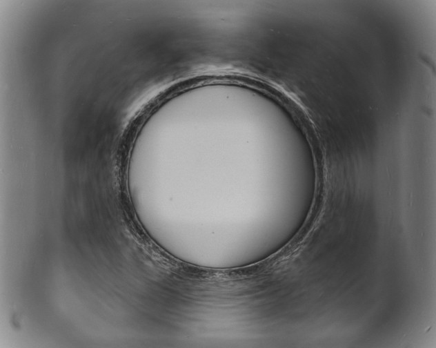 X0000101691311200807101158