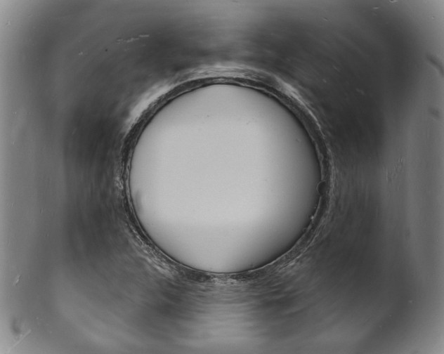 X0000101691312200807101158