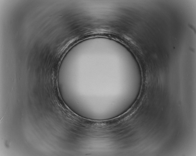 X0000101691313200807101158