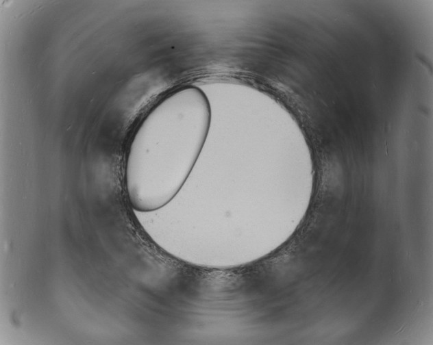 X0000101691314200807101158