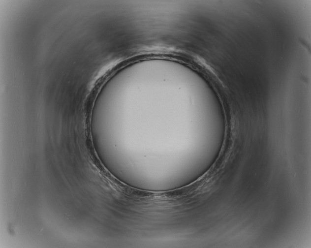 X0000101691315200807101158