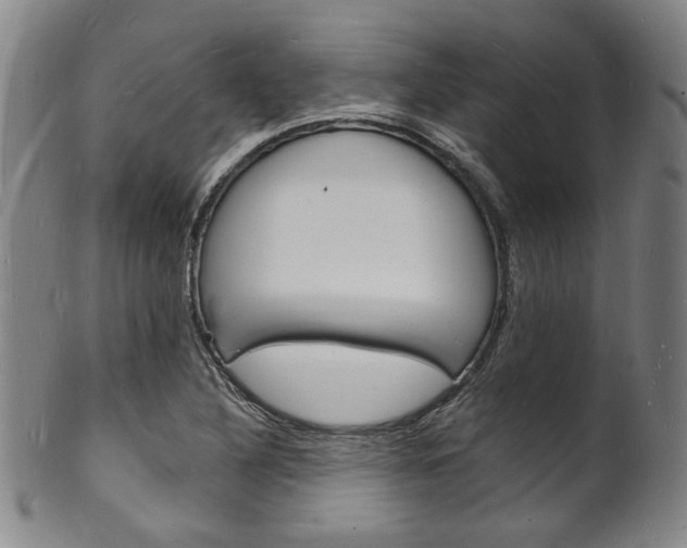 X0000101691316200807101158