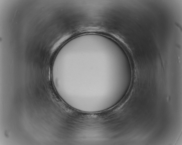X0000101691317200807101158