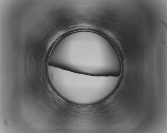 X0000101691318200807101158
