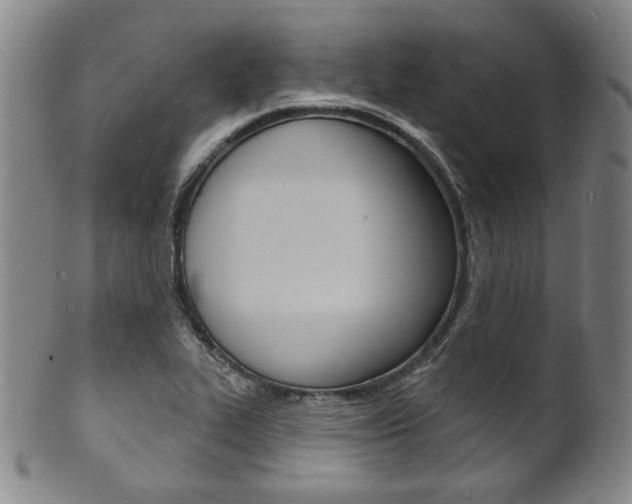 X0000101691319200807101158