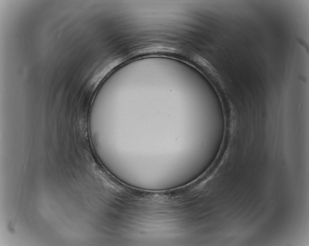 X0000101691321200807101158