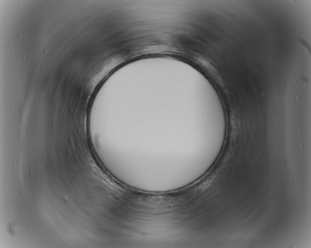 X0000101691322200807101158