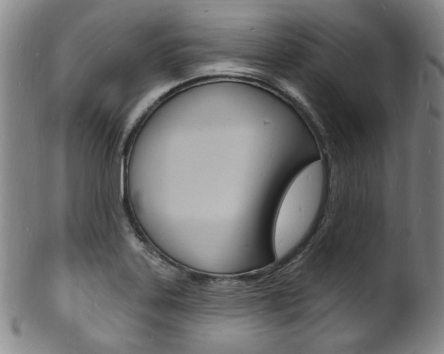 X0000101691323200807101158