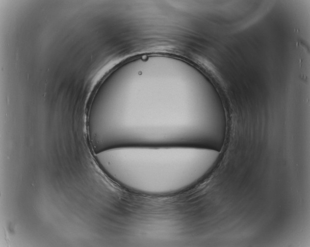 X0000101691324200807101158