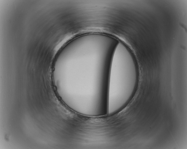X0000101691325200807101158