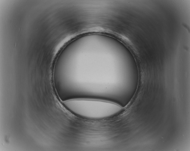X0000101691326200807101158