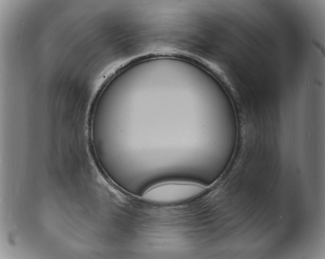 X0000101691327200807101158