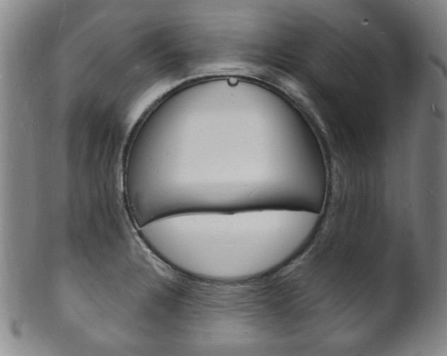 X0000101691328200807101158