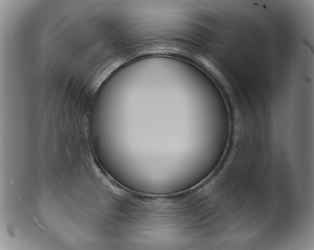 X0000101691329200807101158