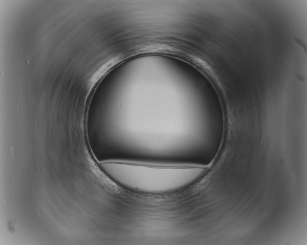 X0000101691330200807101158