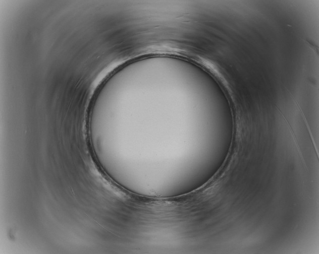 X0000101691331200807101158