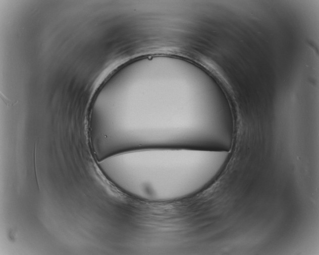 X0000101691332200807101159
