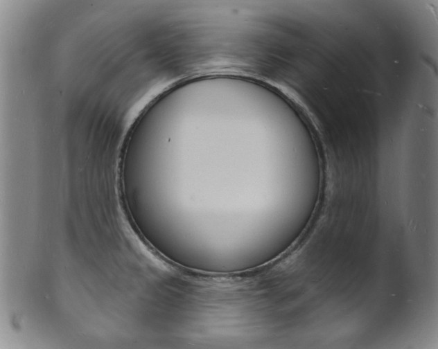 X0000101691333200807101159