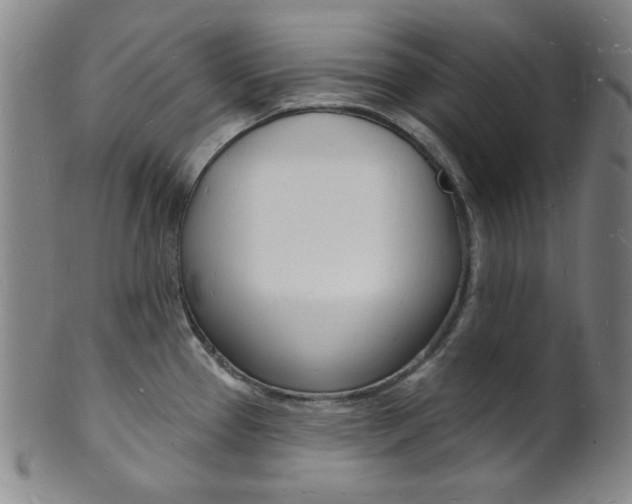 X0000101691337200807101159