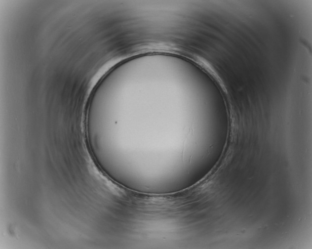 X0000101691339200807101159