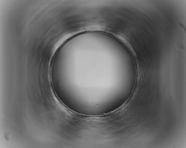 X0000101691342200807101159
