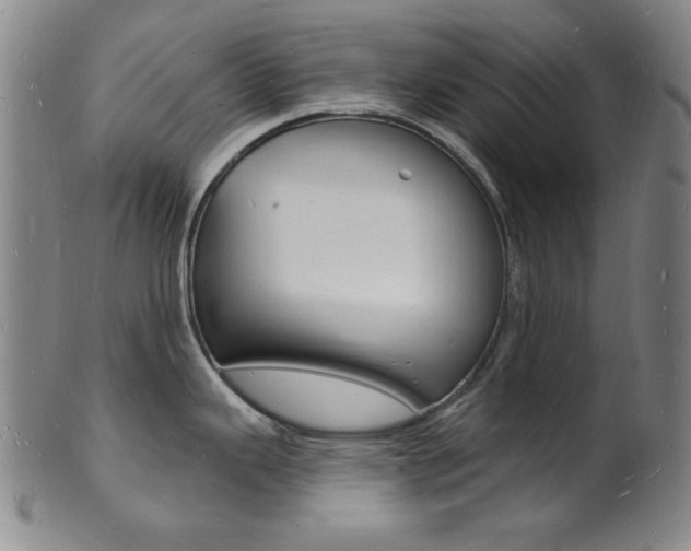 X0000101691343200807101159