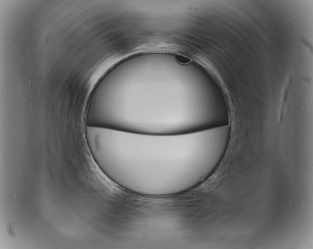X0000101691344200807101159