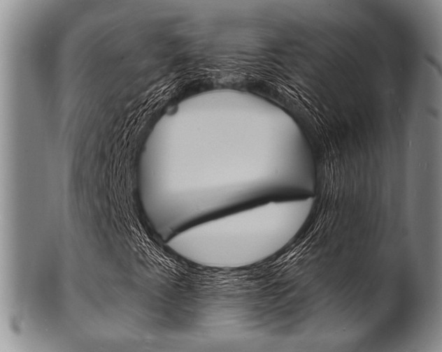 X0000101691345200807101158