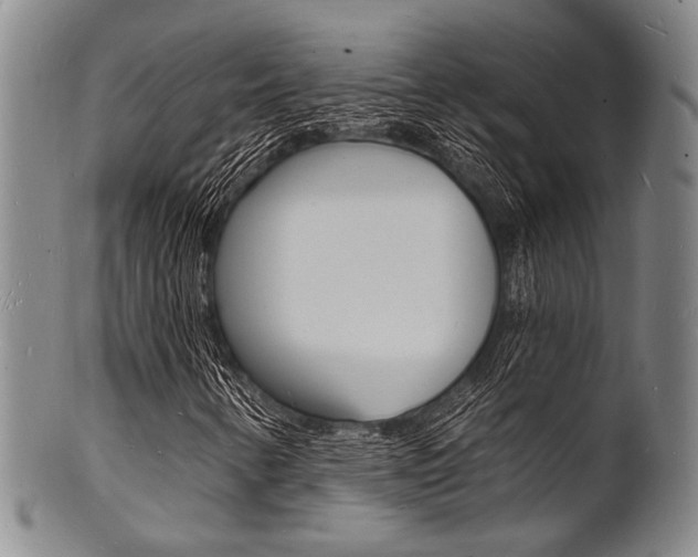 X0000101691346200807101158