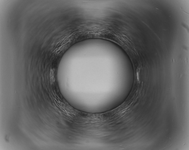 X0000101691347200807101158