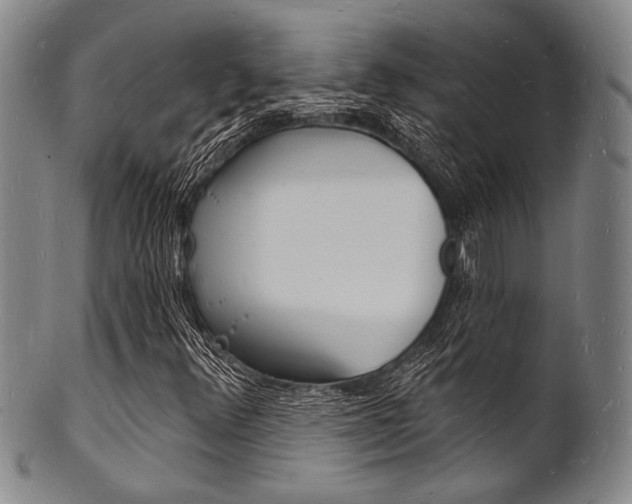 X0000101691348200807101158